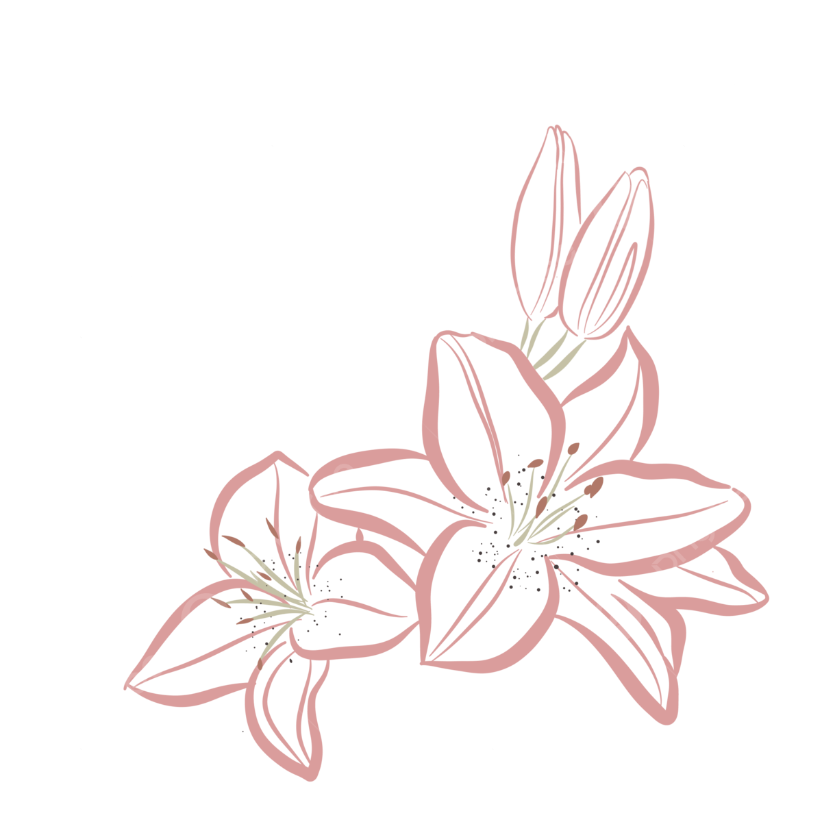 Decorazione floreale